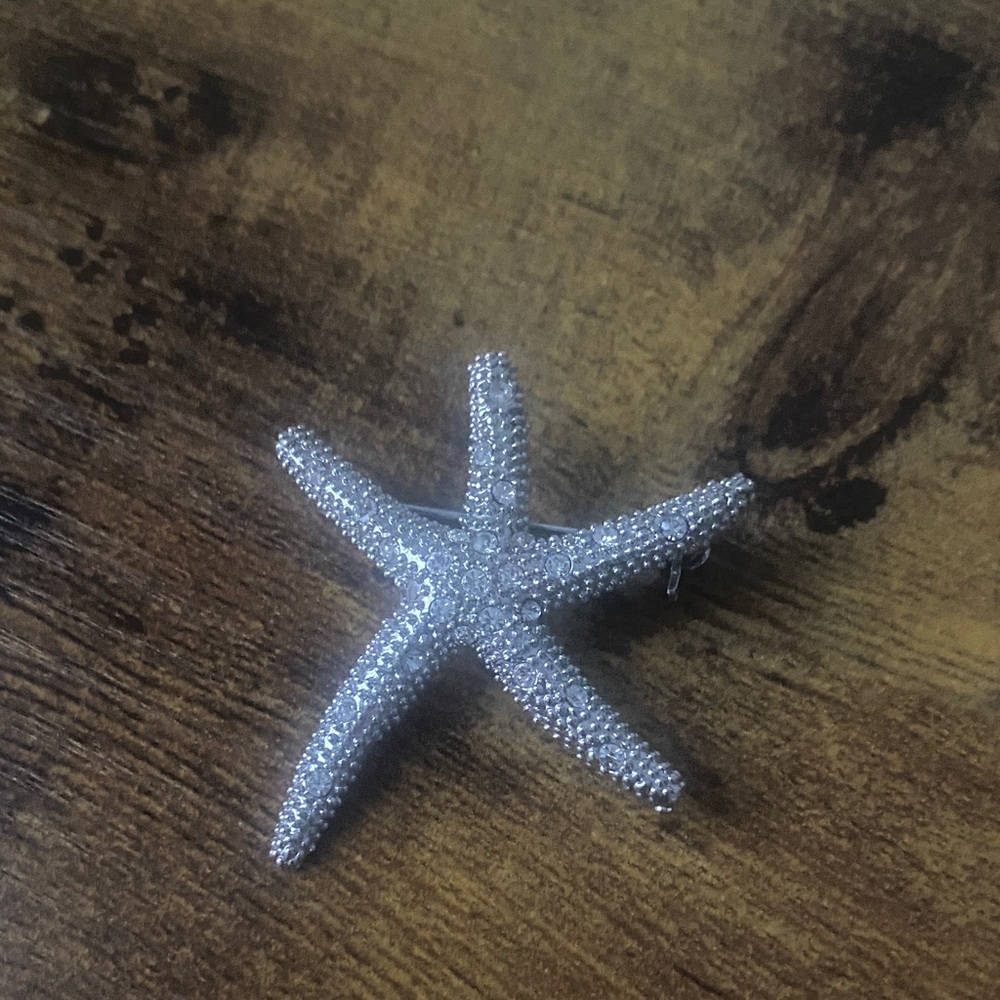 Shiny Starfish Brooch